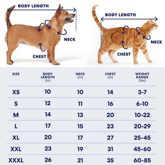 Pet tee NWOT - Picture 5 of 7